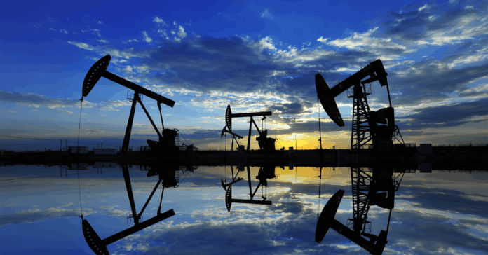 GeoPark completes acquisition in Vaca Muerta